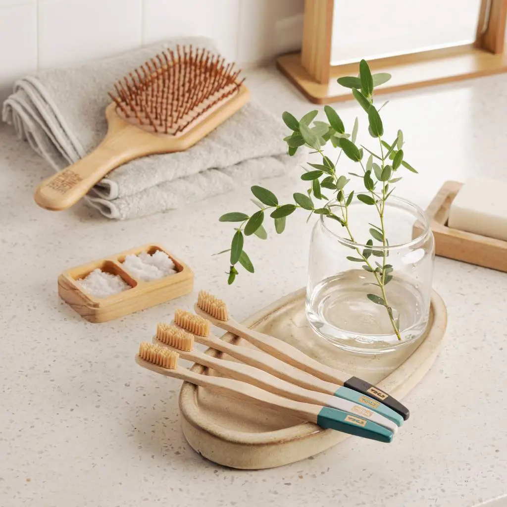 An array of bamboo toothbrushes lies on a stone tray beside a plant cutting in water, highlighting eco-friendly bathroom essentials.